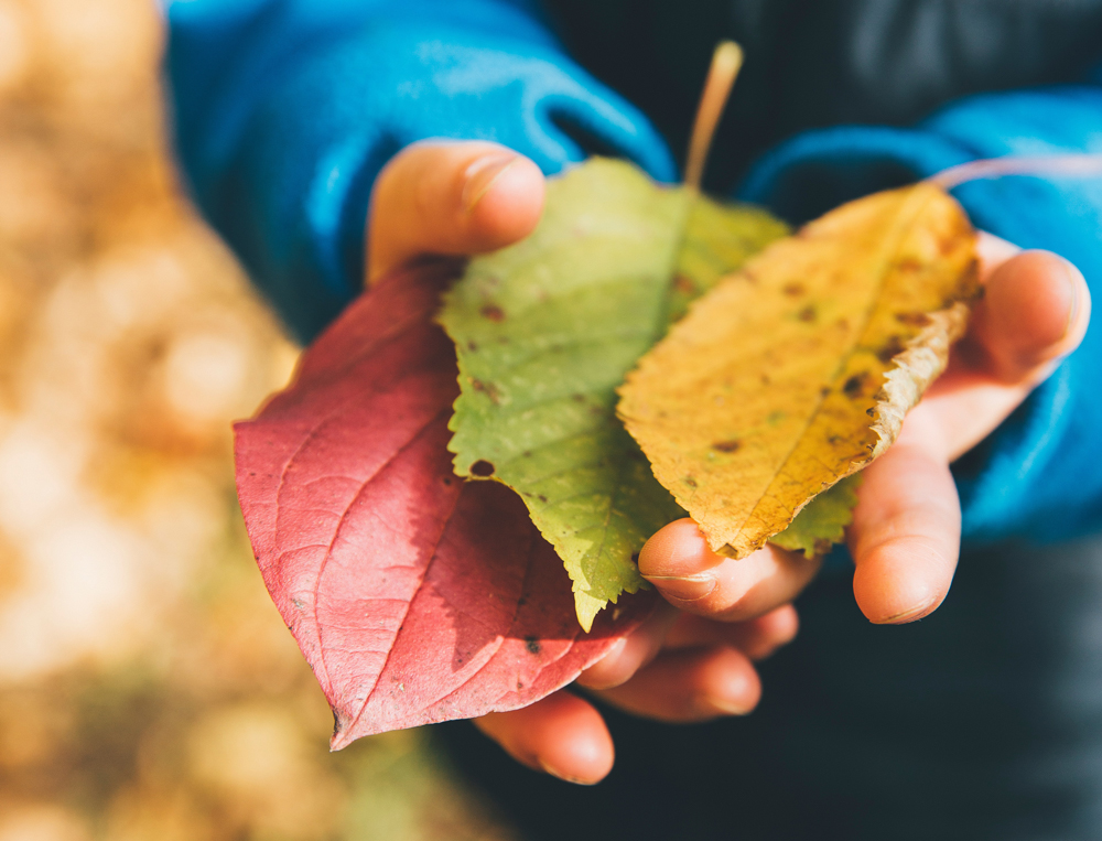 KIDS NEWS – Les sorties pour enfants à Bordeaux en novembre