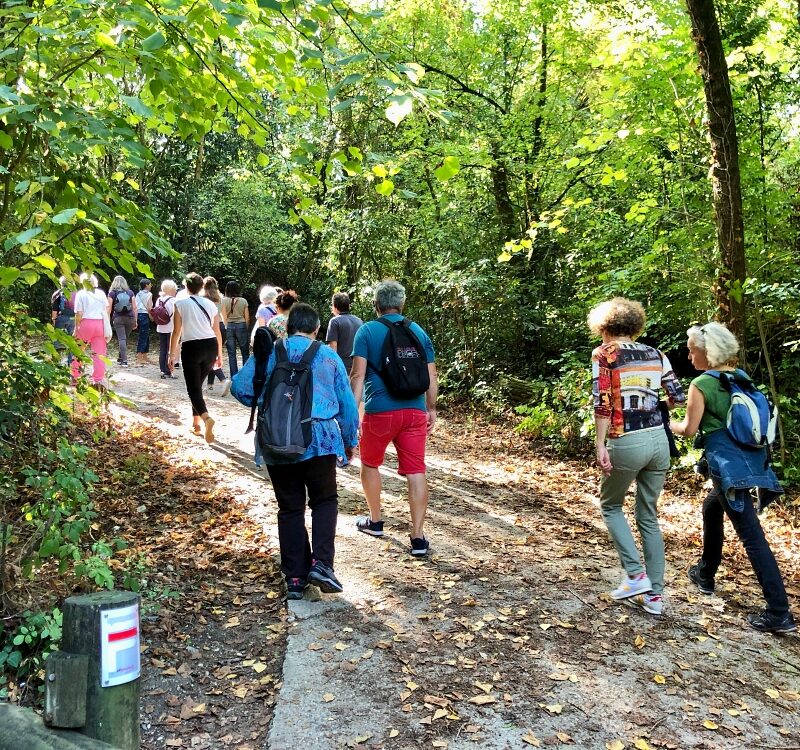 Promeneurs par de l'Ermitage à Lormont