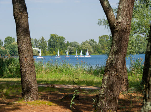 Bordeaux Lac