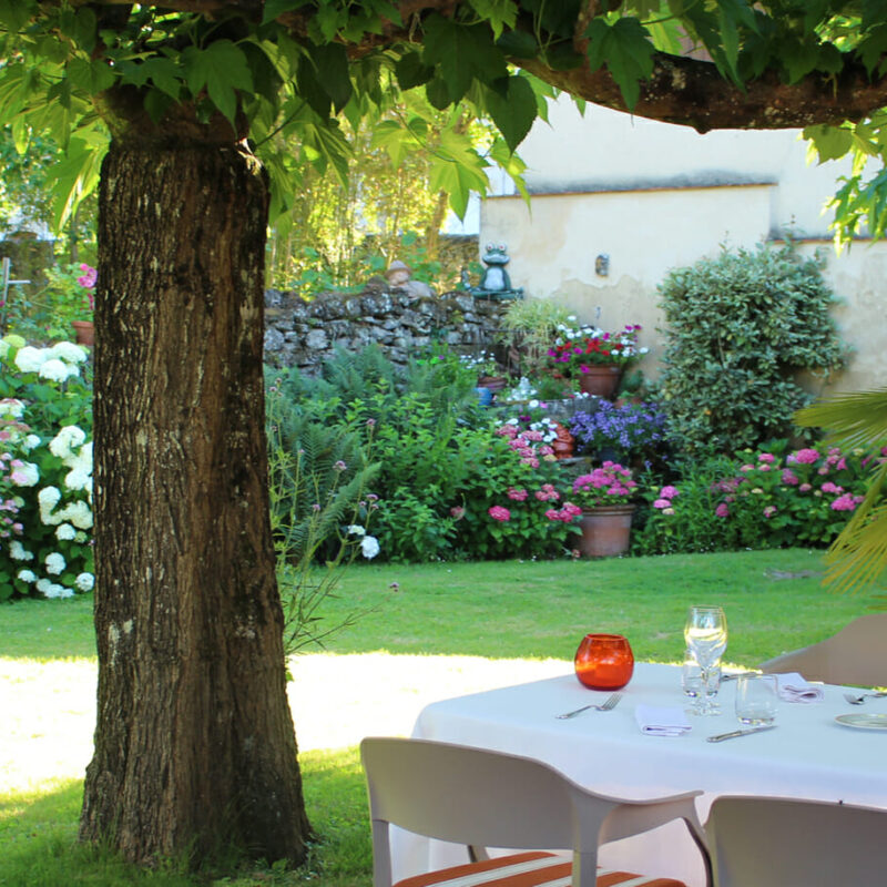 L'abricotier à Saint-Macaire