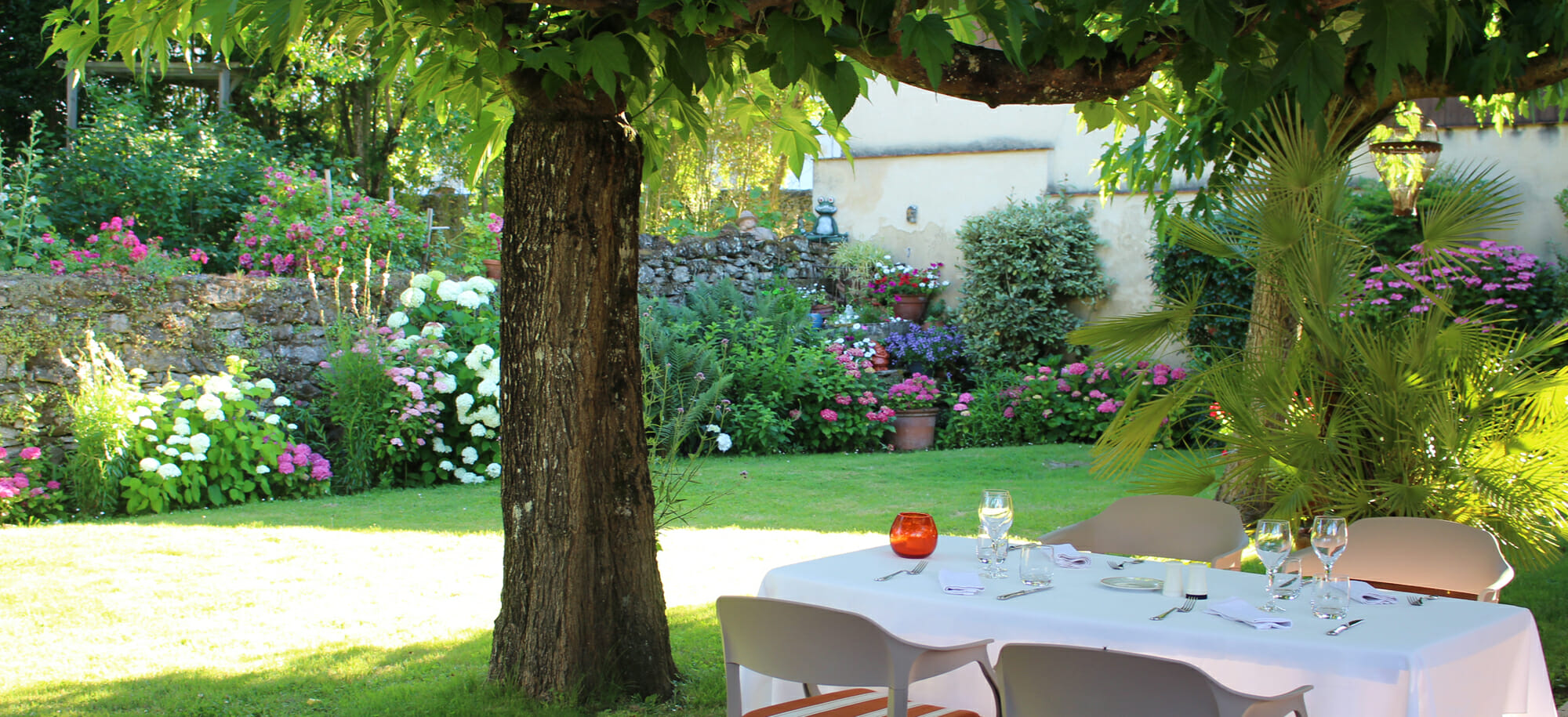 L'abricotier à Saint-Macaire