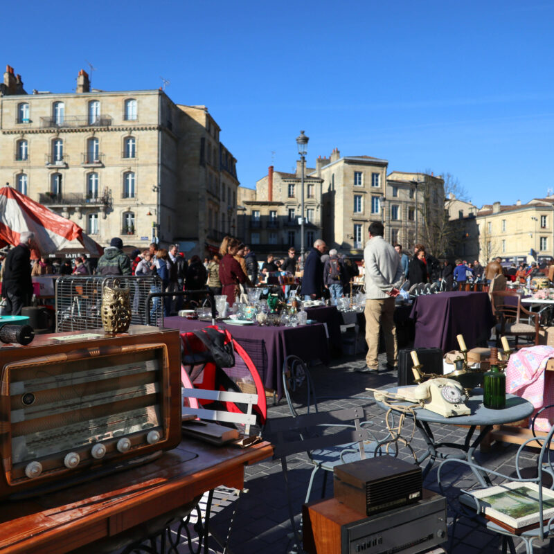 Les puces de Saint Michel