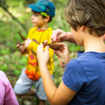 Les animations gratuites au parc des Jalles : découvrez la nature !