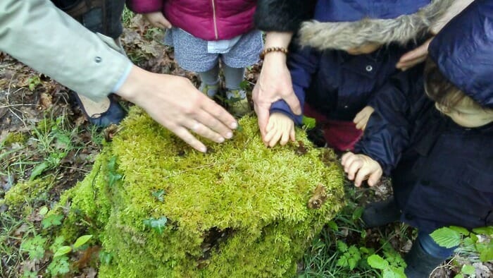 découverte de la forêt pour les tout petits