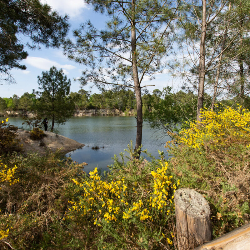 Lac Bleu Léognan