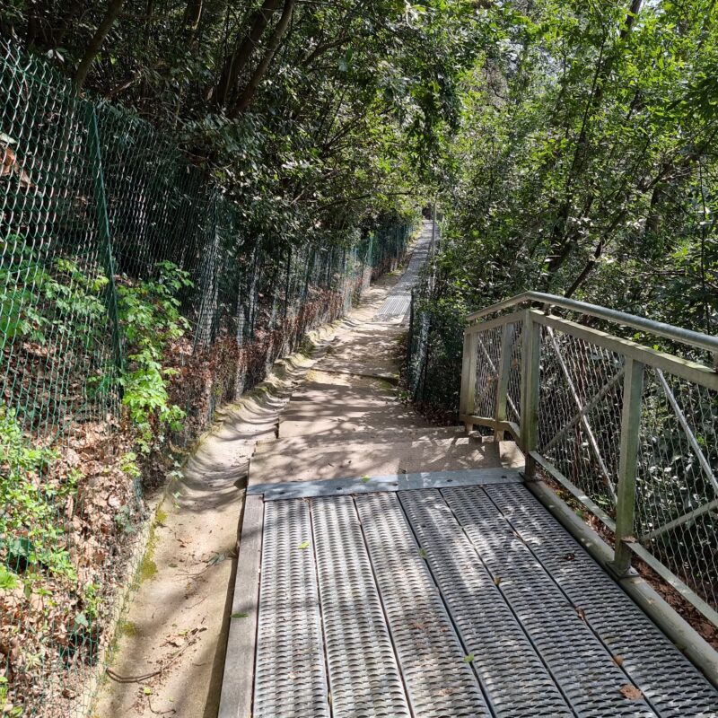 Sentier et passerelle du marais