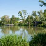 Parc des étangs - pêche à Floirac