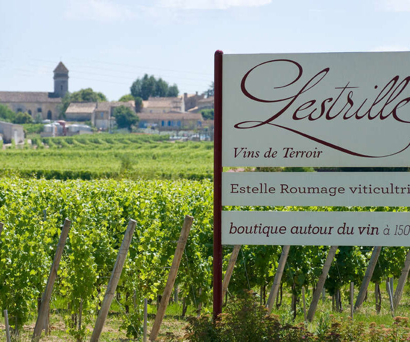 Vue sur vignes Lestrille