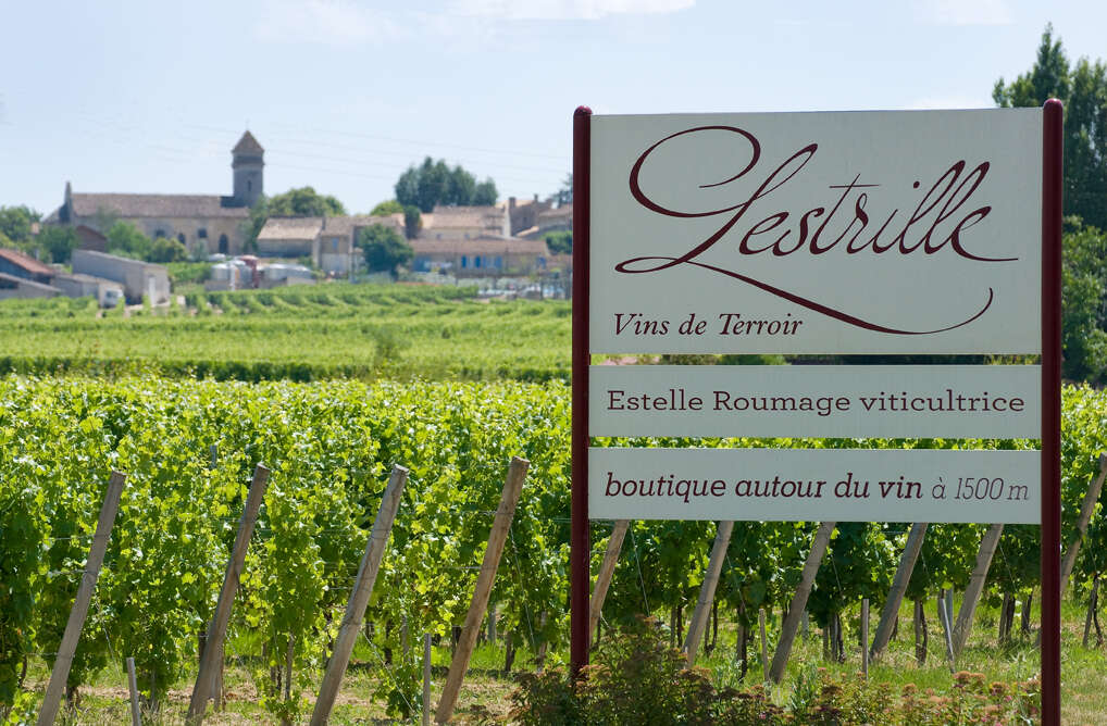 Vue sur vignes Lestrille