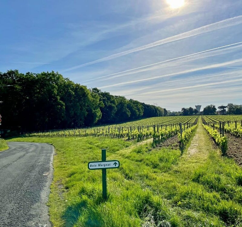 Bois de Margnat Artigues