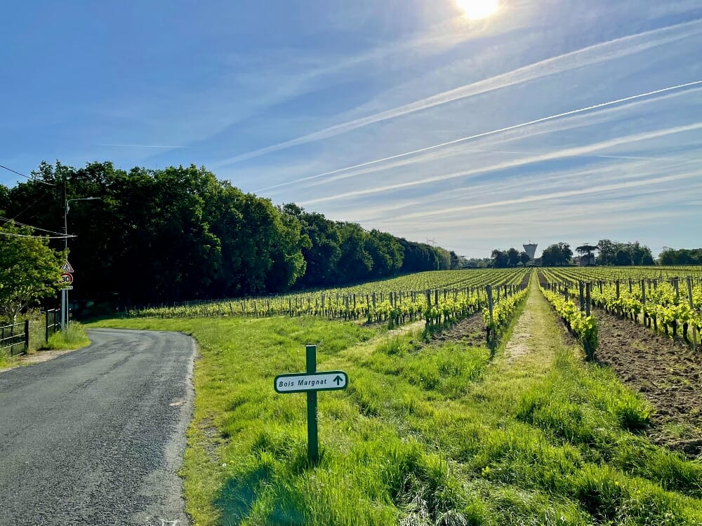 Bois de Margnat Artigues