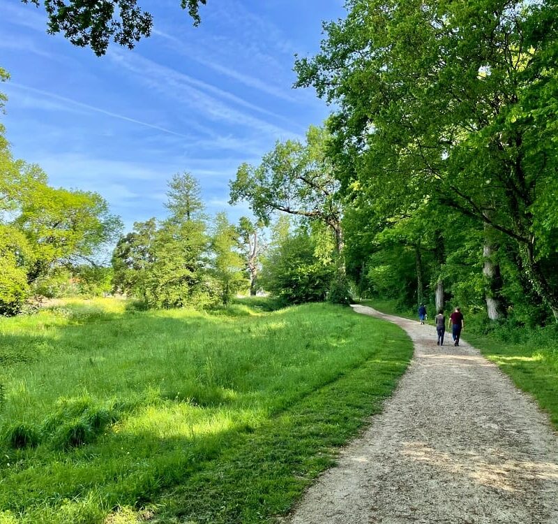 Parc de la mairie