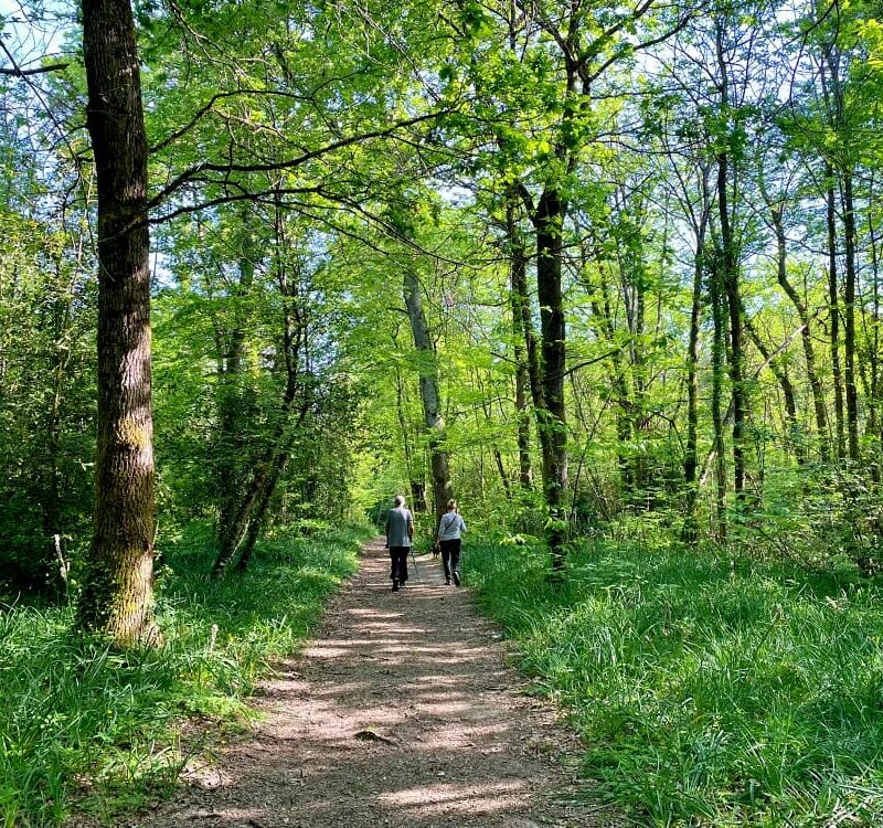 randonnée à Artigues-près-Bordeaux