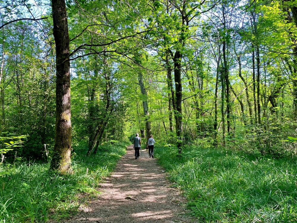 randonnée à Artigues-près-Bordeaux