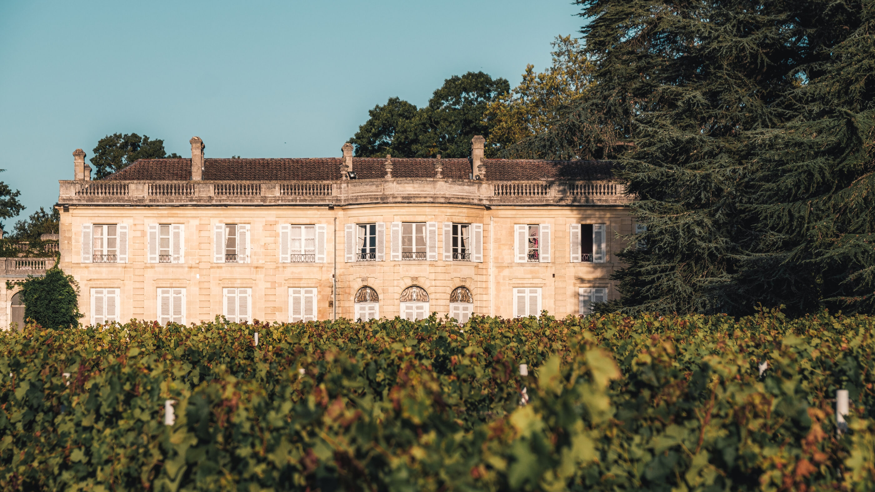 Chateau Bordeaux