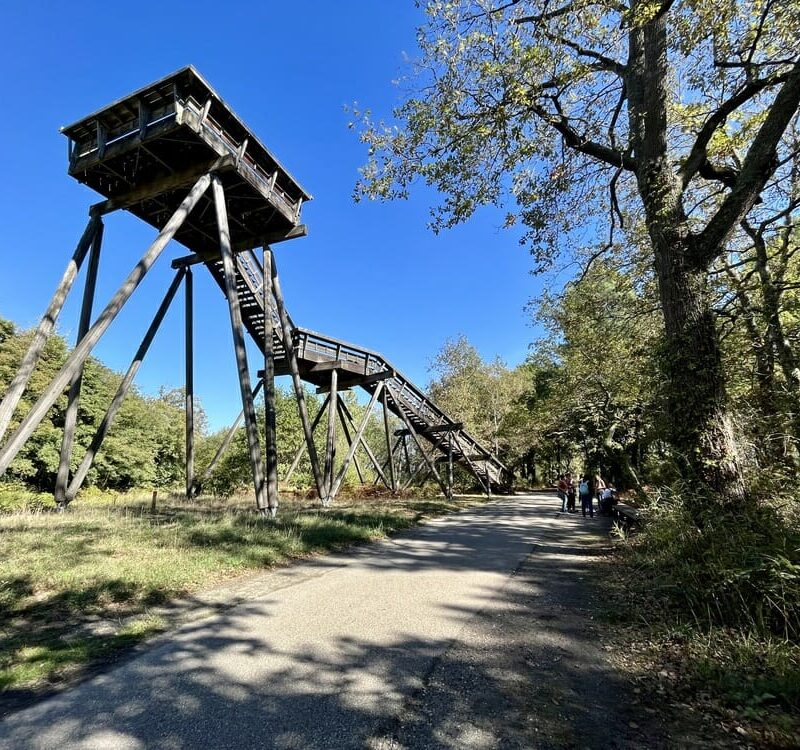 virées en pleine nature Bordeaux