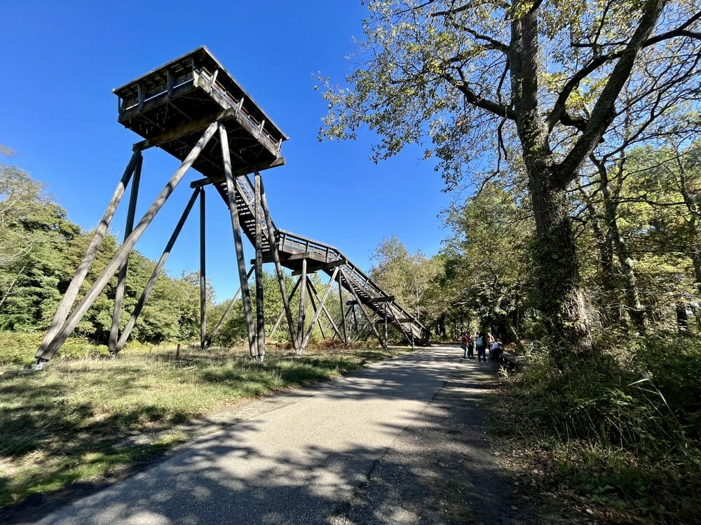 virées en pleine nature Bordeaux