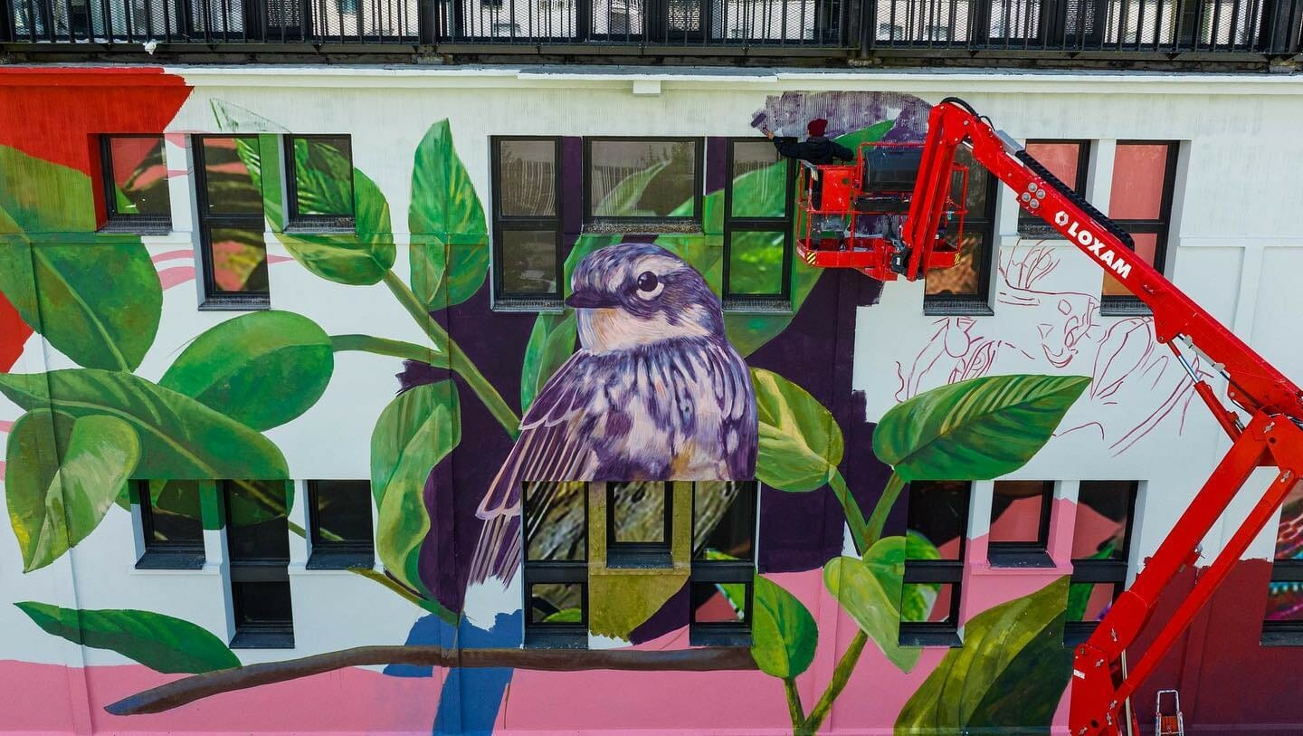 Le street art foisonne à Bègles – Une visite à vélo