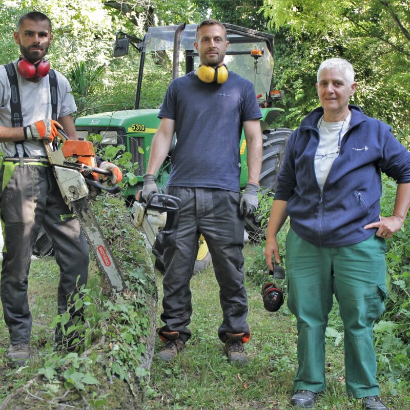 Sylvie Dedieu, Thomas et Nicolas