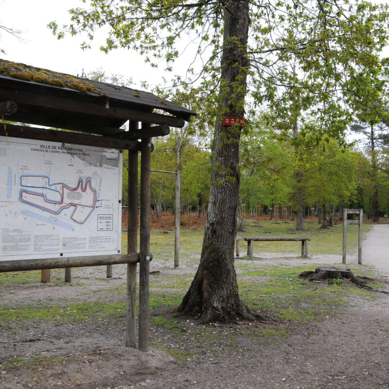 Balade avec enfants dans le bois d'Arboudeau à Parempuyre