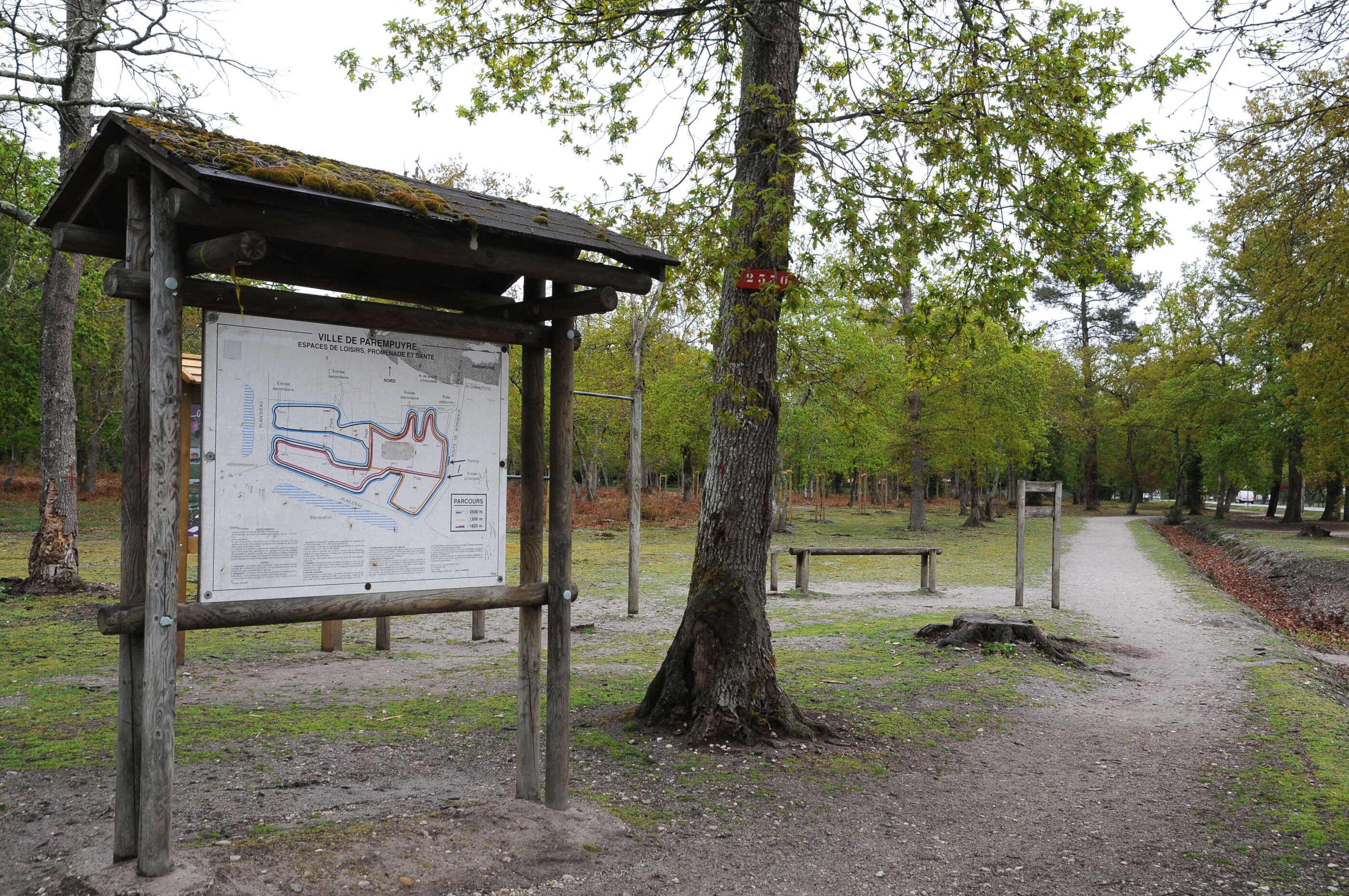 Balade avec enfants dans le bois d'Arboudeau à Parempuyre