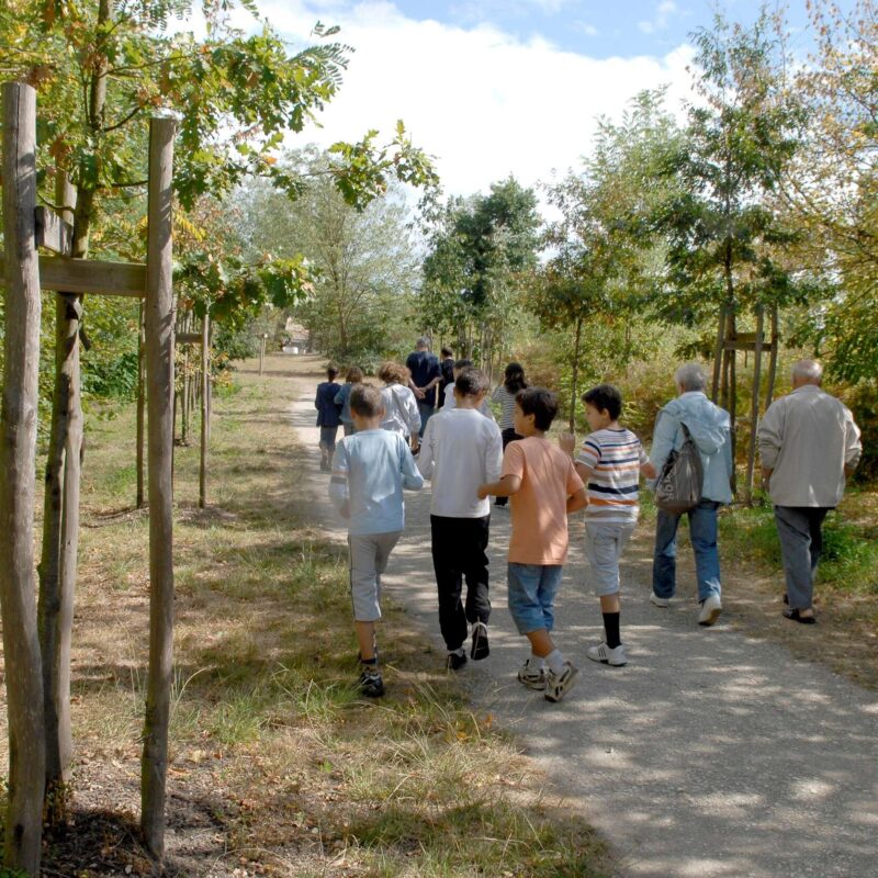 Bois de Thouars