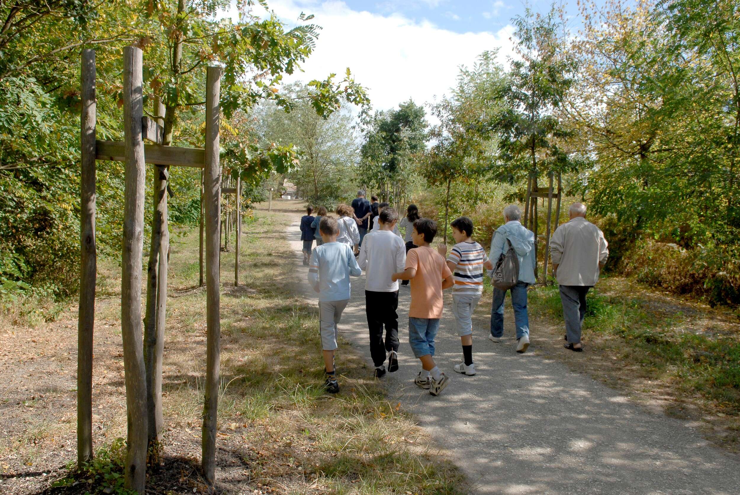 Bois de Thouars