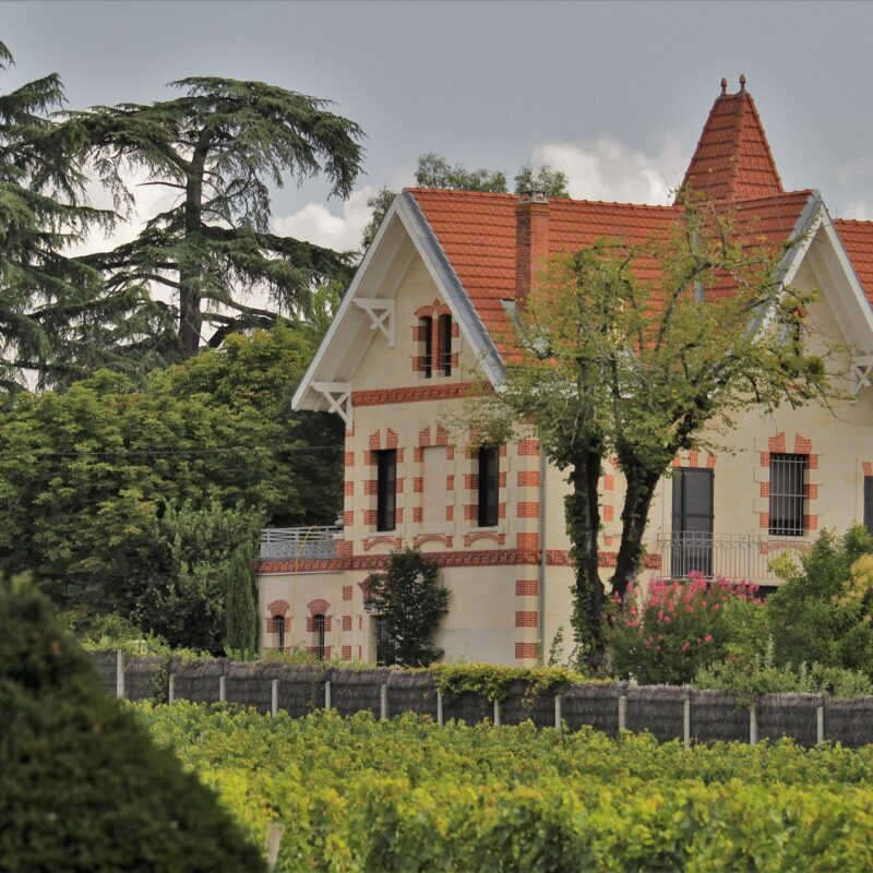 Vignes de Gradignan