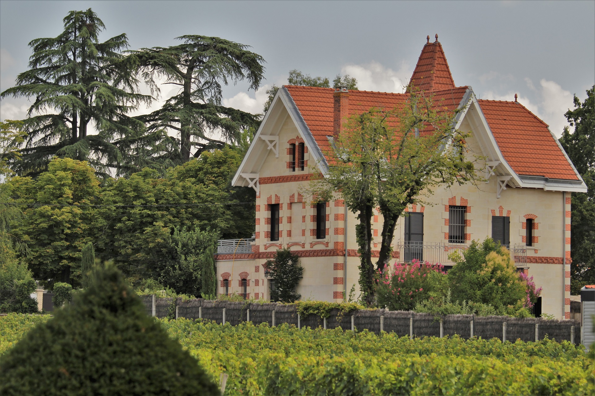 Vignes de Gradignan