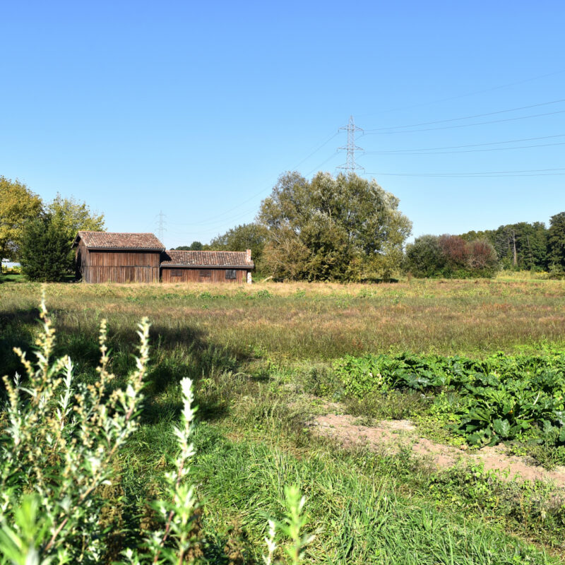 Zone maraîchère des Jalle