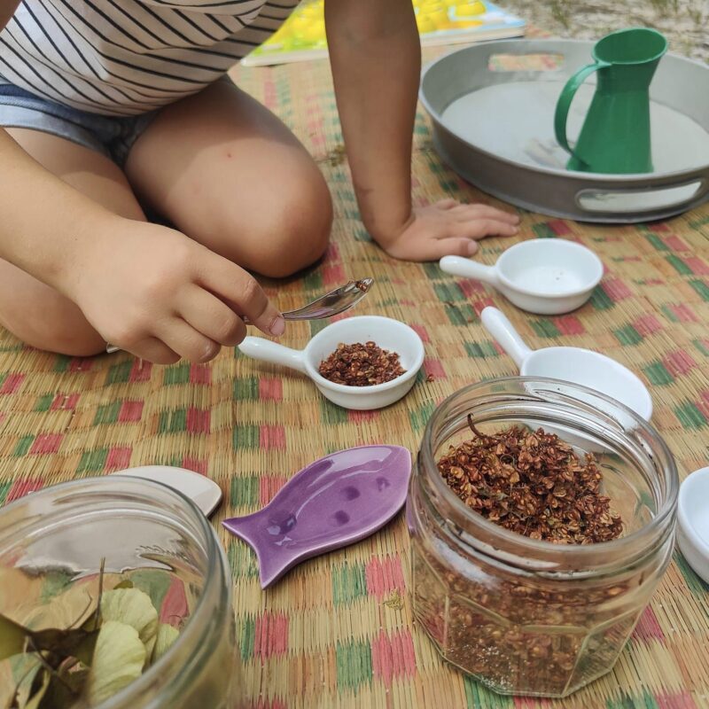 atelier-enfants-nature-murmures-sauvages