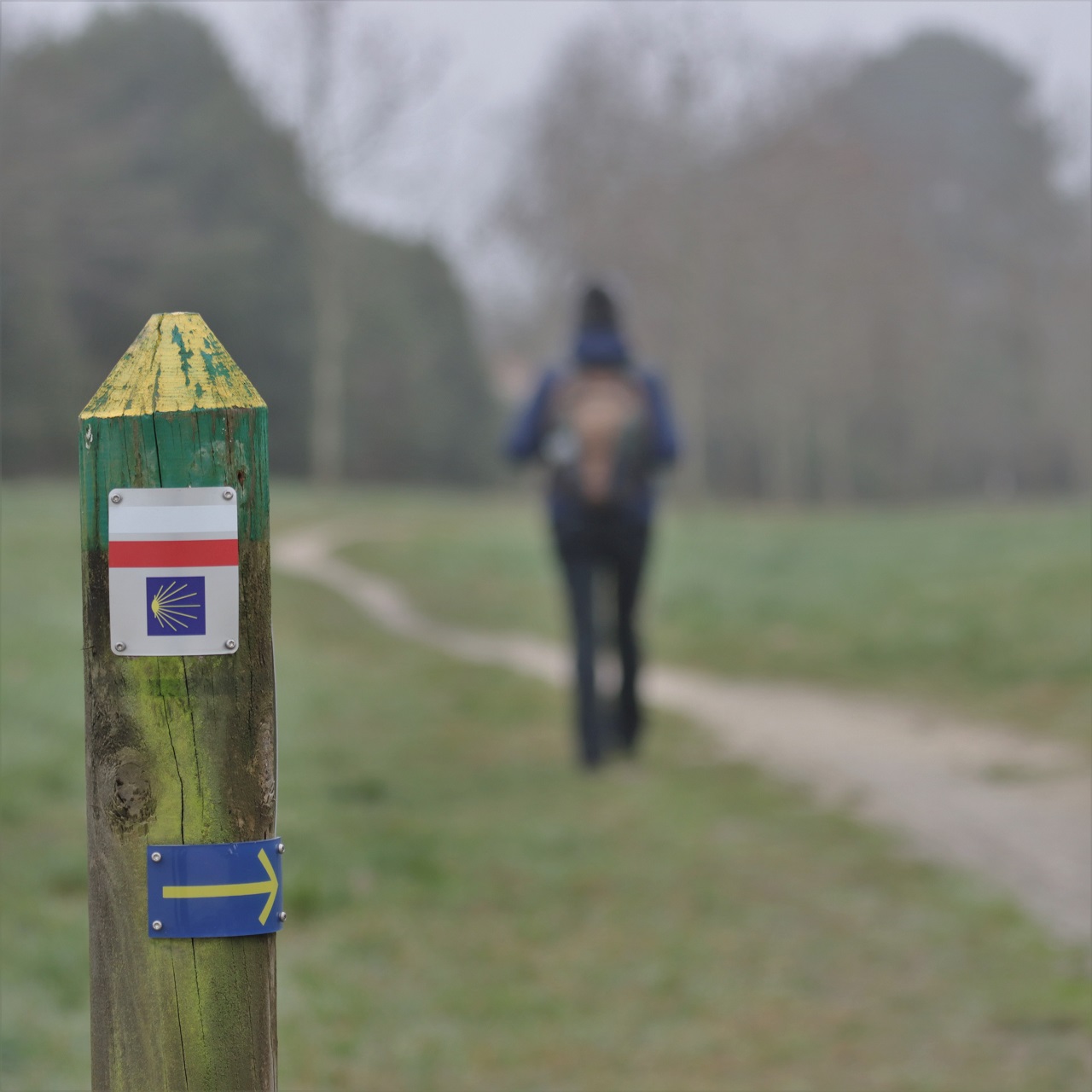 Fleur explore la boucle parcs et châteaux de Blanquefort