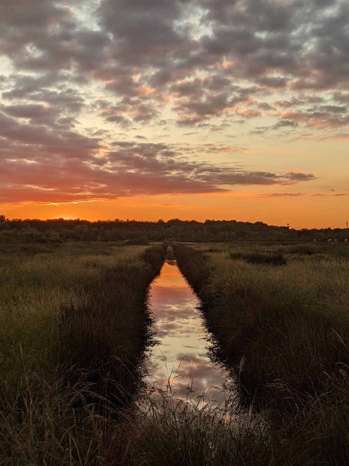 marais des olives au crépuscule