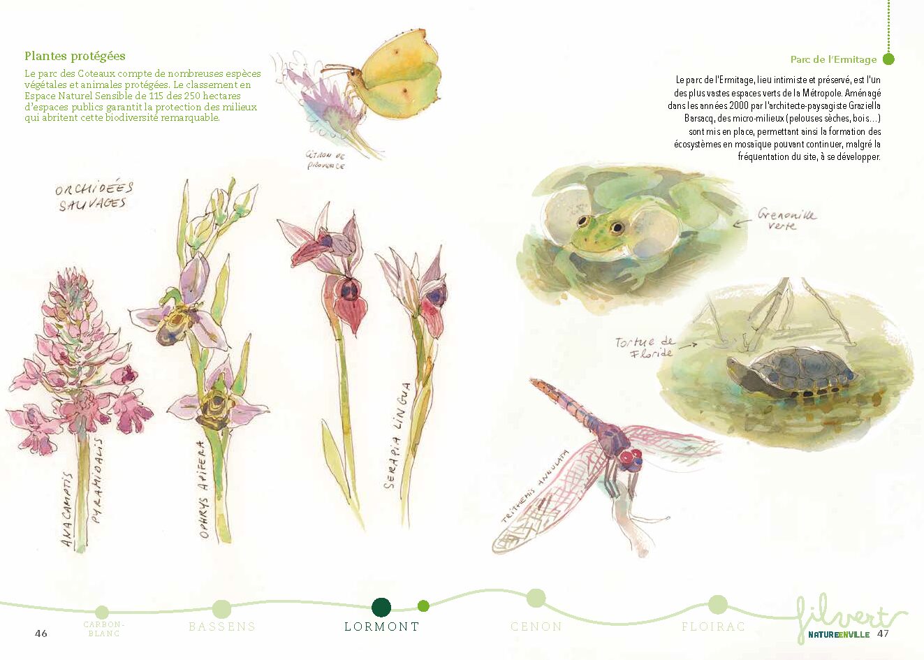 Fil vert : un roman graphique sur le parc des Coteaux