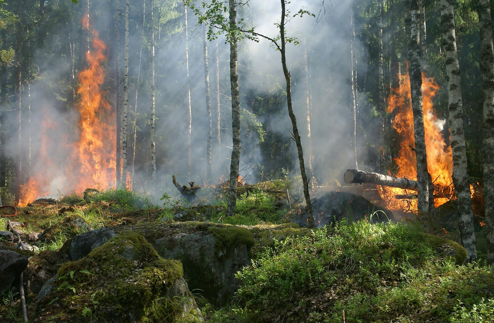 Les bons réflexes pour éviter les départs de feu