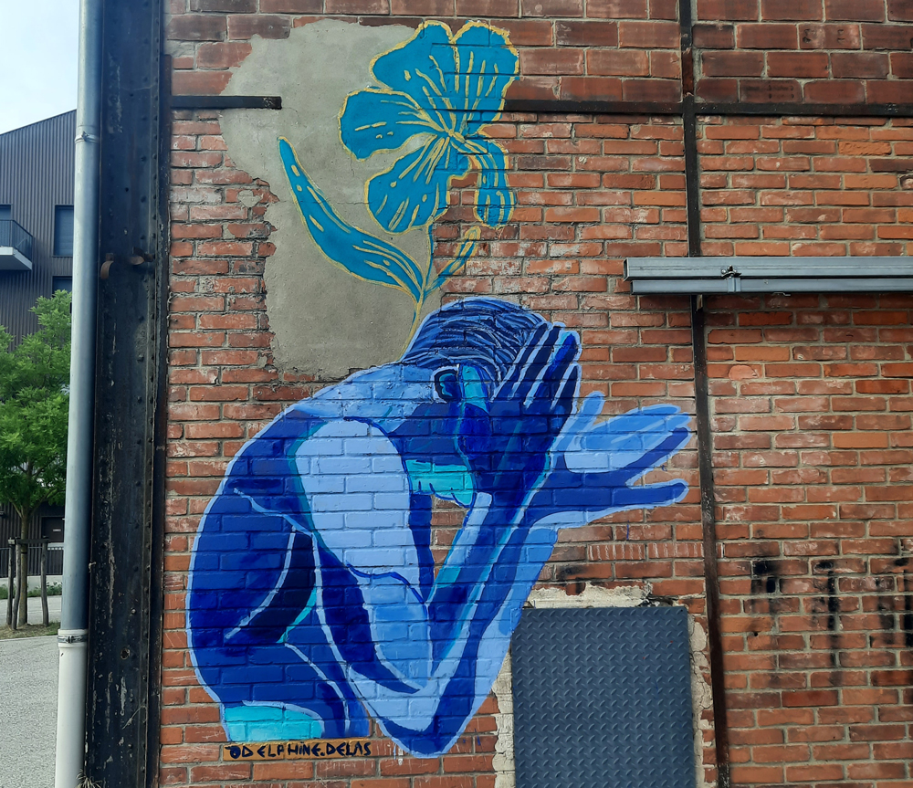Delphine Delas street art Bordeaux