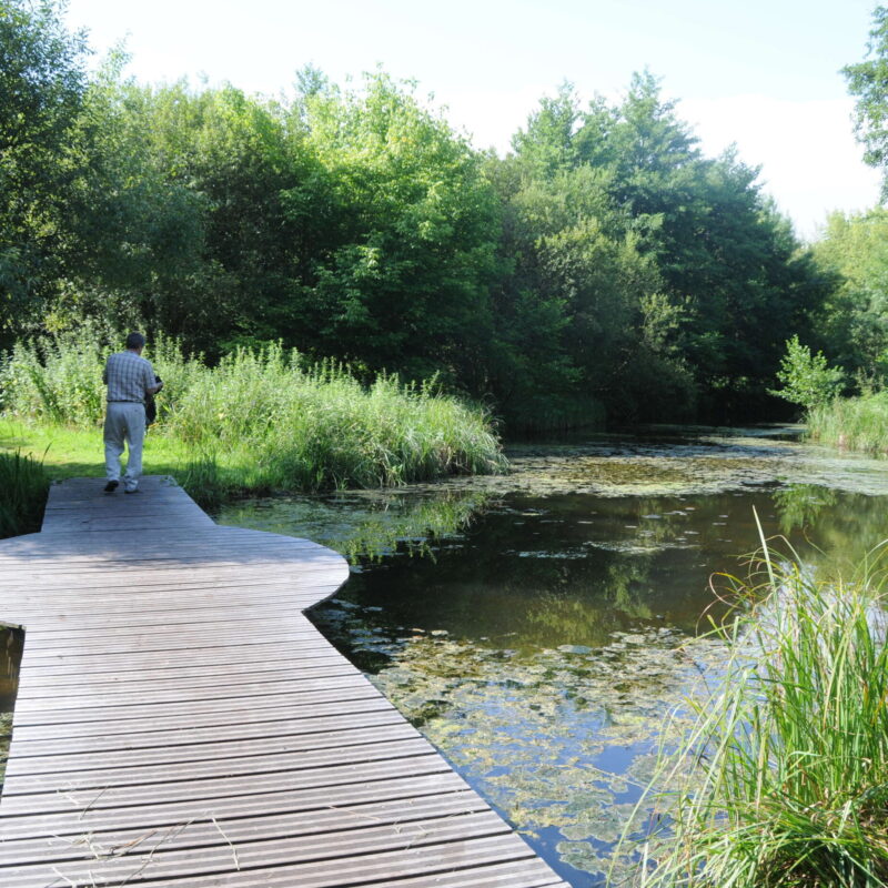 Parc de Mussonville à Bègles
