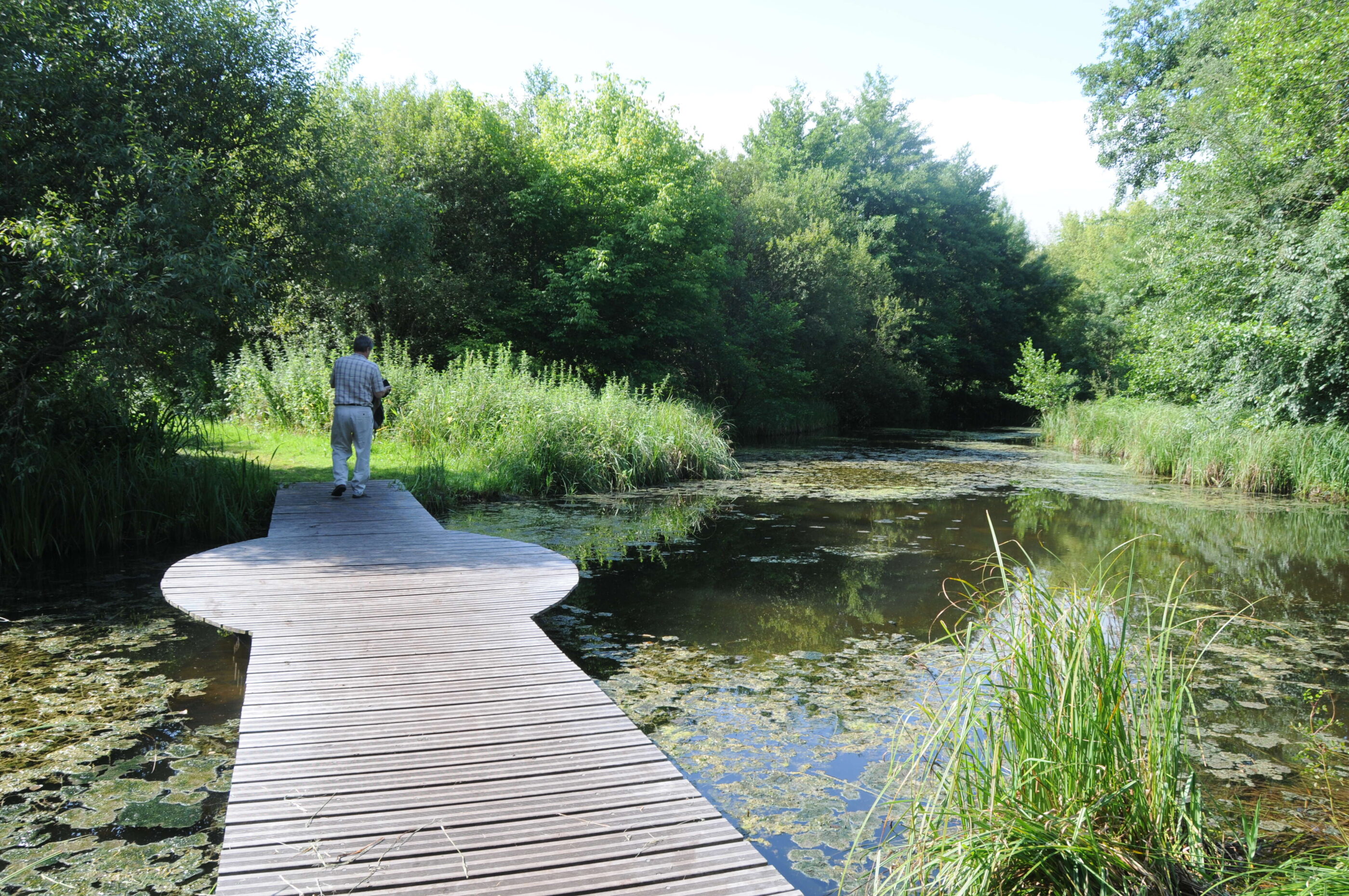 Parc de Mussonville à Bègles