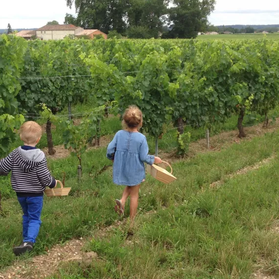 atelier-apprenti-vigneron-chateau-cormeil-figeac