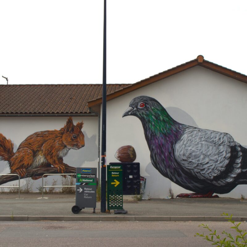 amo-street-art-belcier