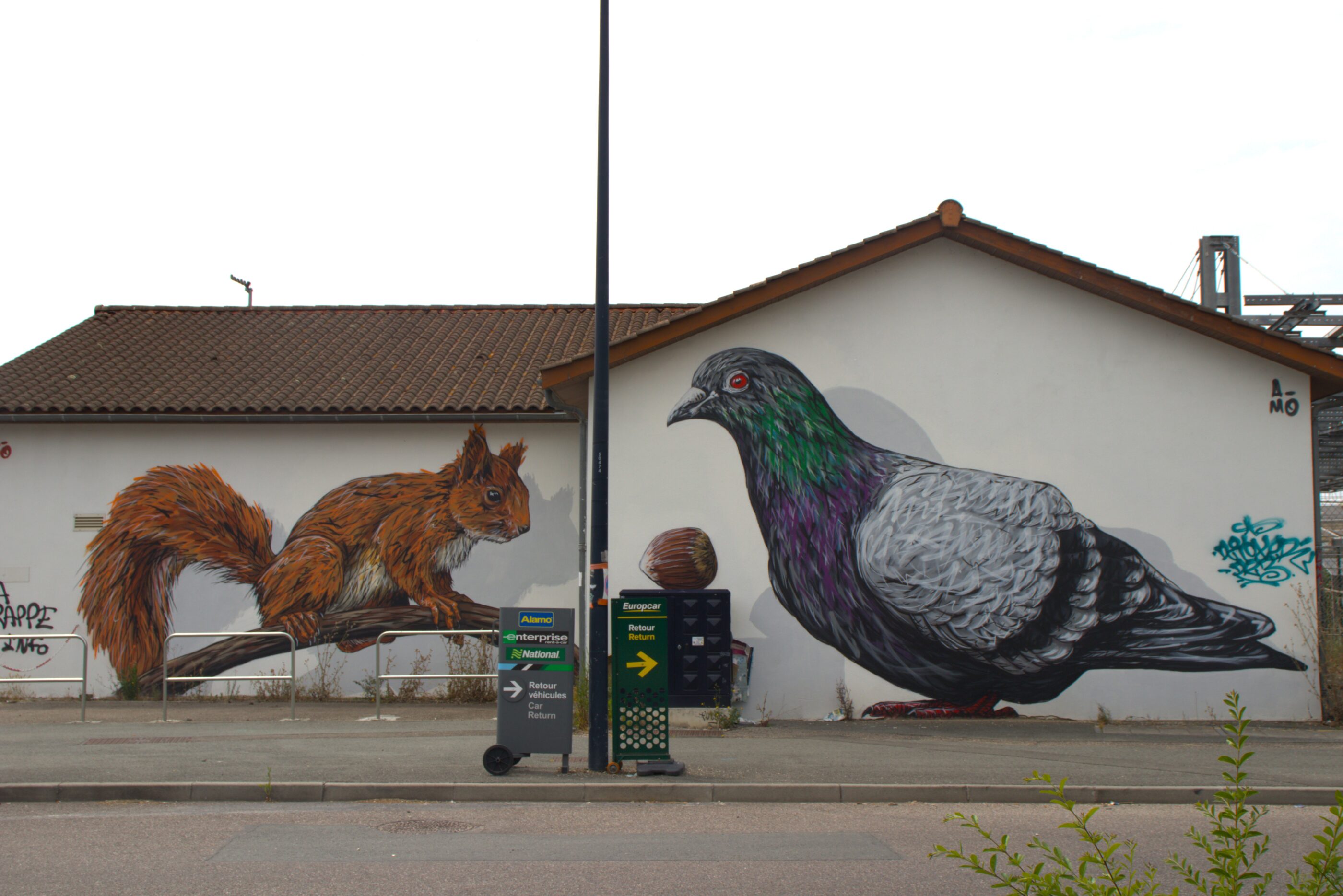 amo-street-art-belcier