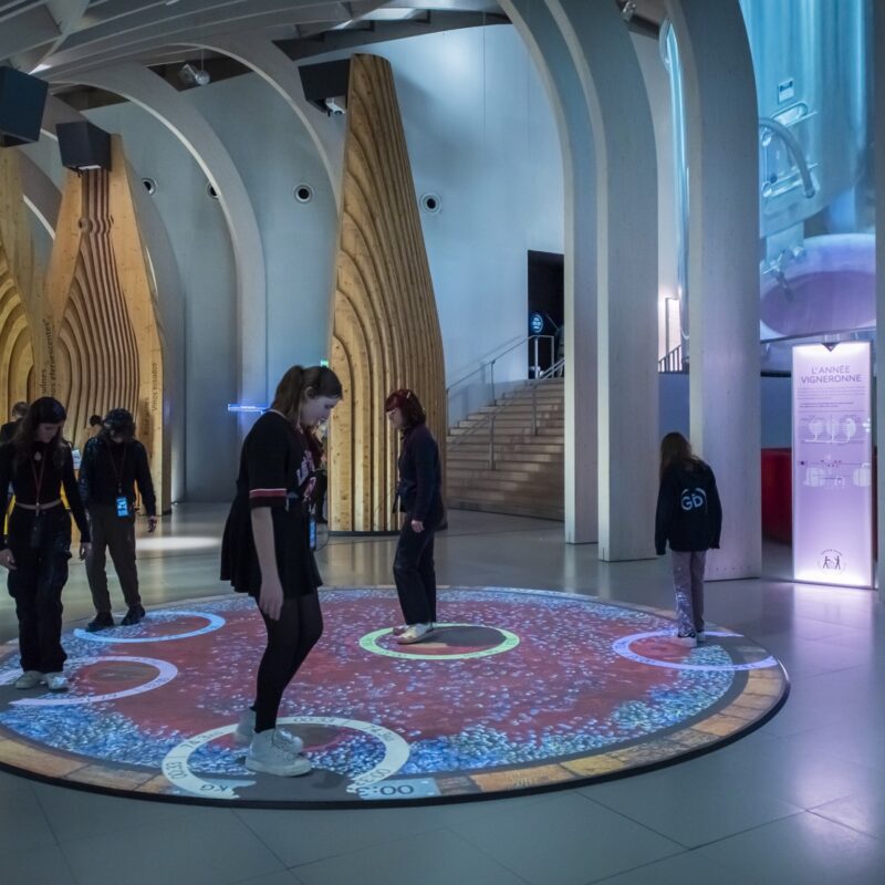 Espace thématique enfants Cité du Vin