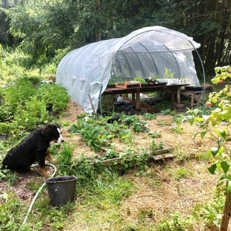 écoleiux pour week-end nature famille près de bordeaux