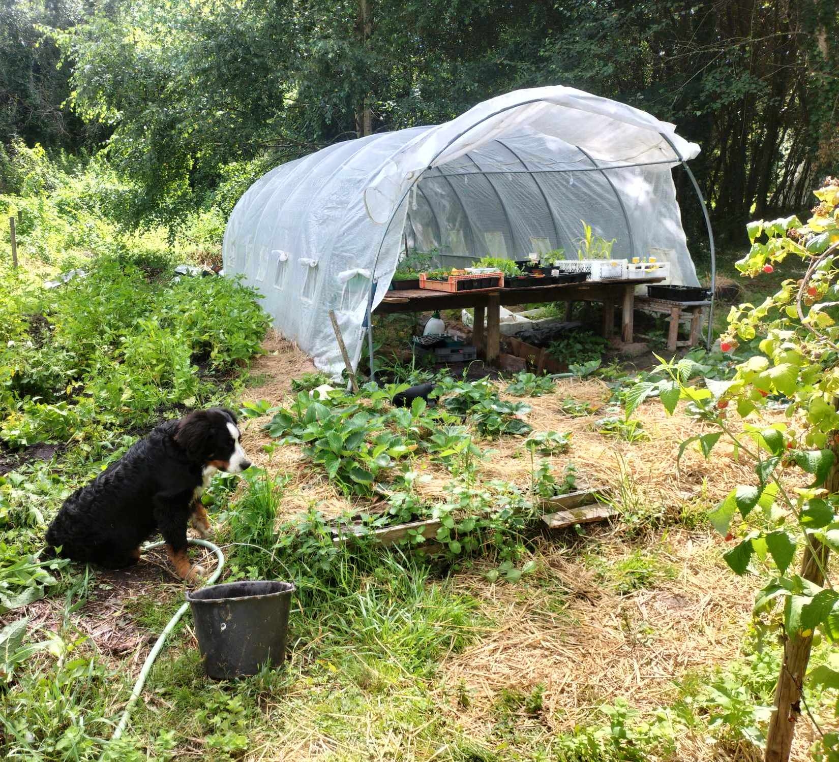 écoleiux pour week-end nature famille près de bordeaux