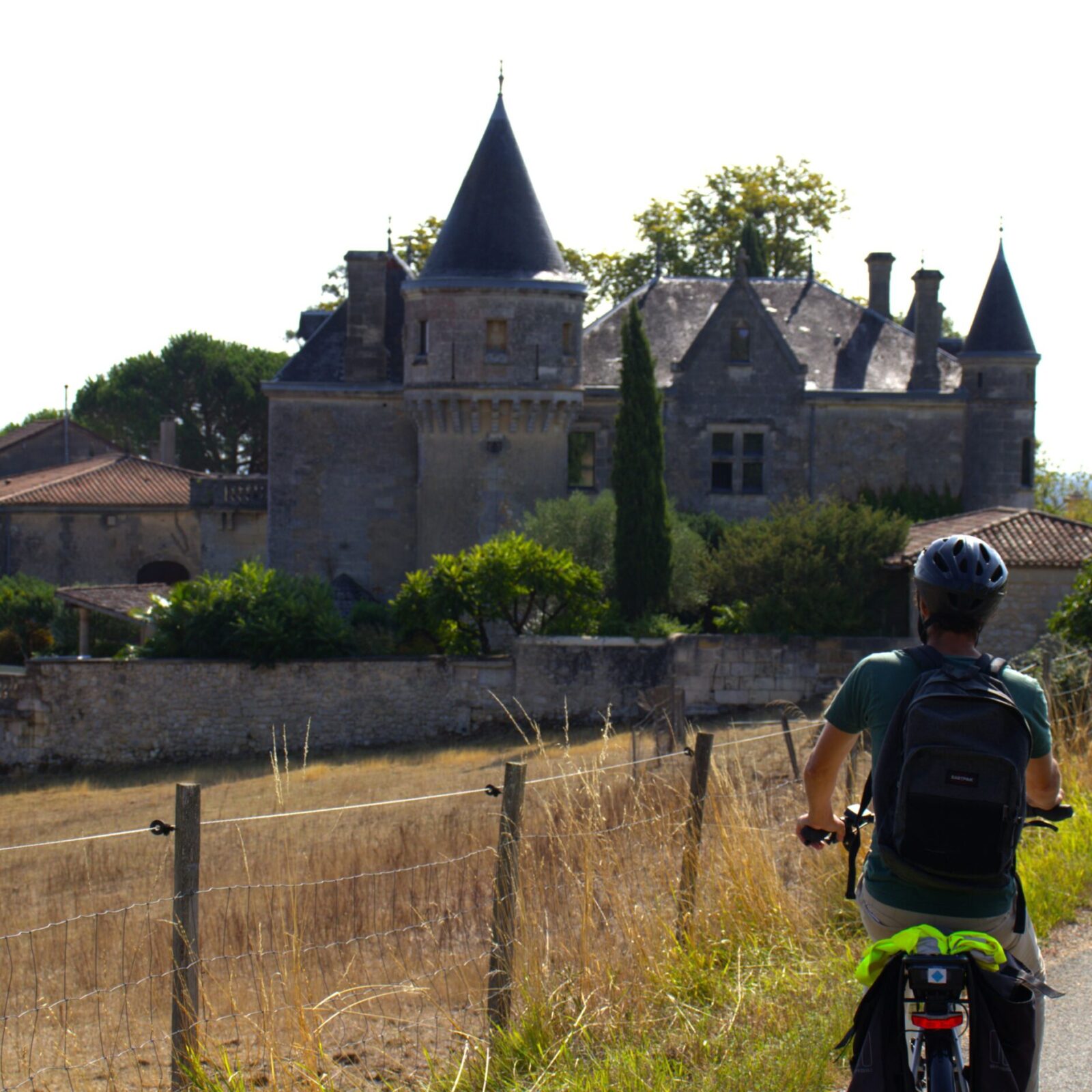 Le vignoble autrement – Une journée entre Bourg et Cubnezais