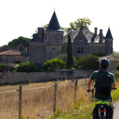 Le vignoble autrement – Une journée entre Bourg et Cubnezais