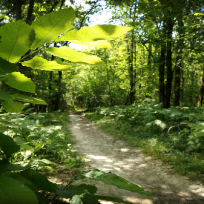 Boucle des Quatre Châteaux à Artigues-près-Bordeaux : 12,6 km entre nature & patrimoine