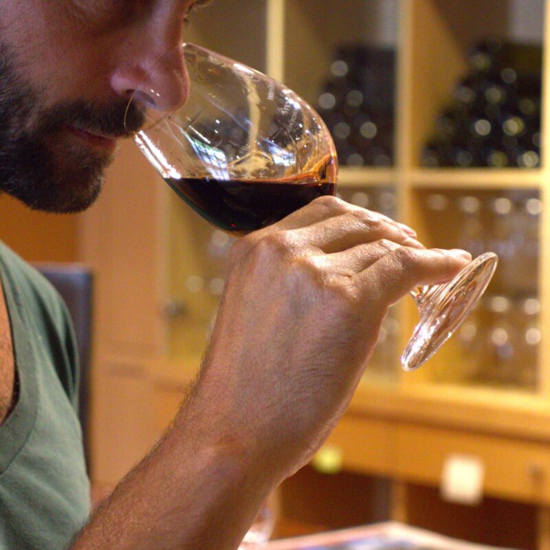 degustation-vin-bertinerie