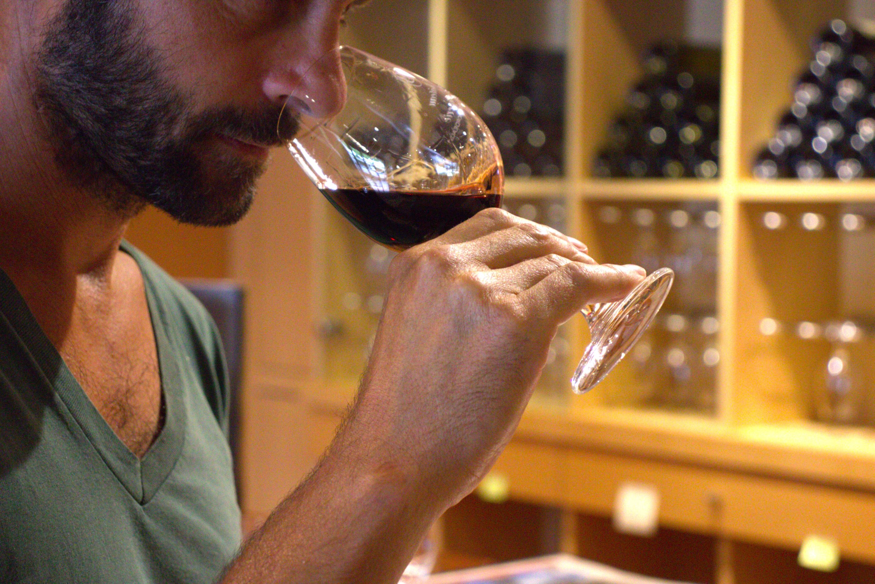 degustation-vin-bertinerie