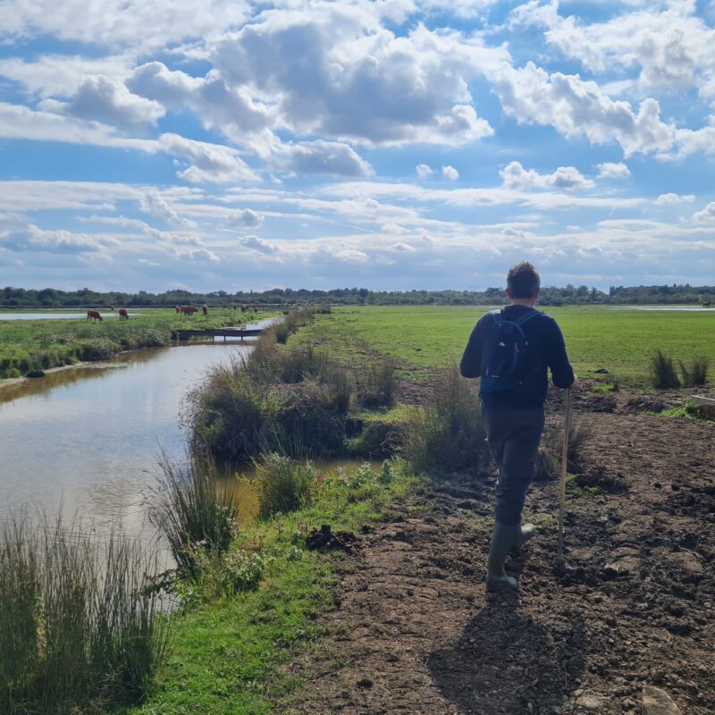 Presqu'île d'Ambes balade marais de Montferrand.